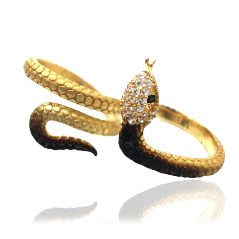 Ember Wrapped Snake